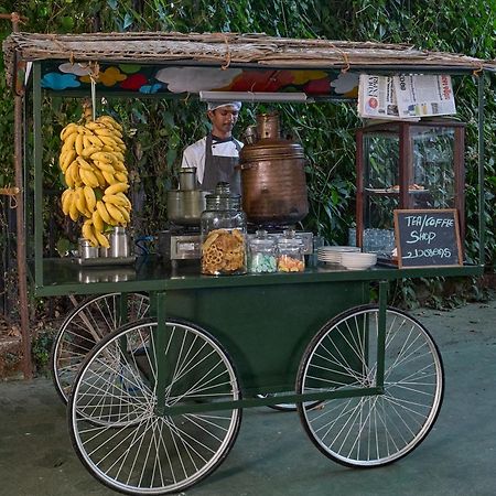 Cardamom County By Xandari Hotel Thekkady Ngoại thất bức ảnh