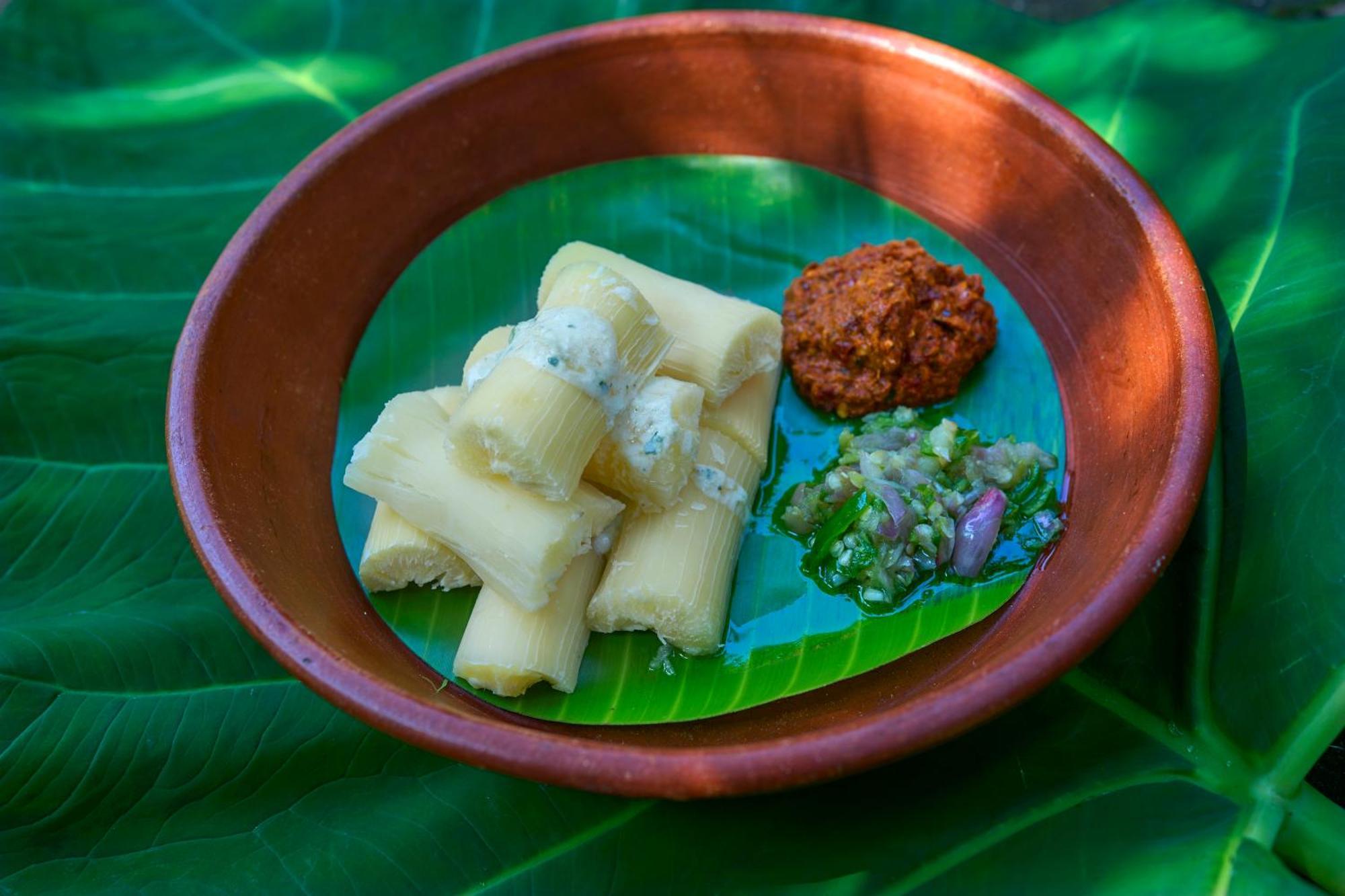 Cardamom County By Xandari Hotel Thekkady Ngoại thất bức ảnh